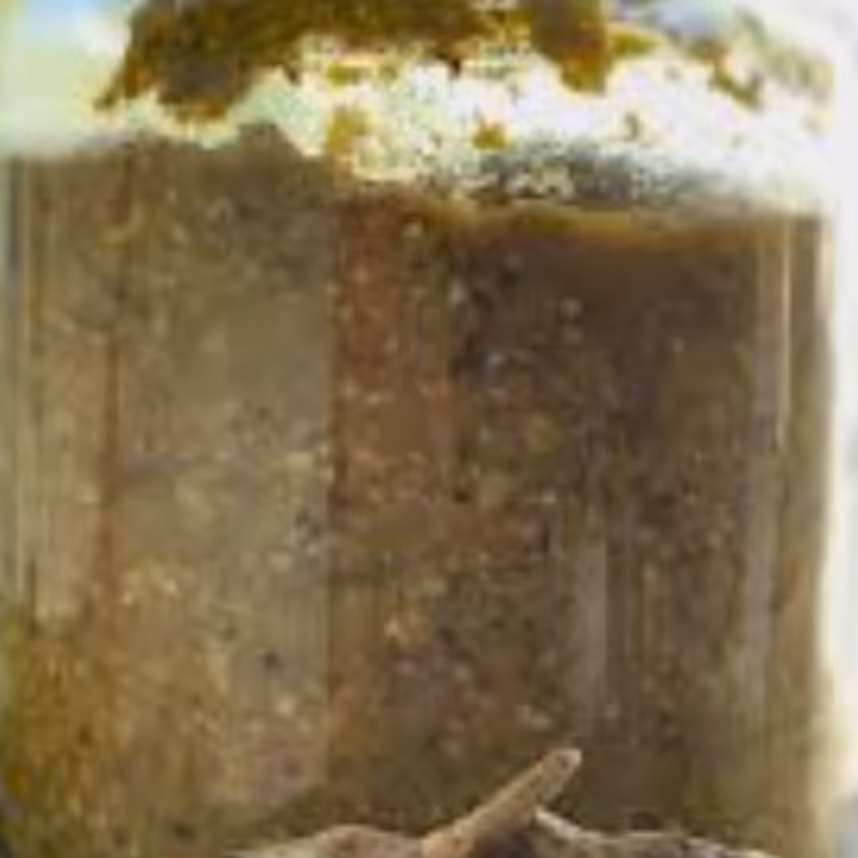 پوره بادمجان کبابی نیم کیلویی ( 500 گرمی  )