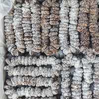 انجیر آردی سکه ای استهبان بسیار نرم 450 گرم 
