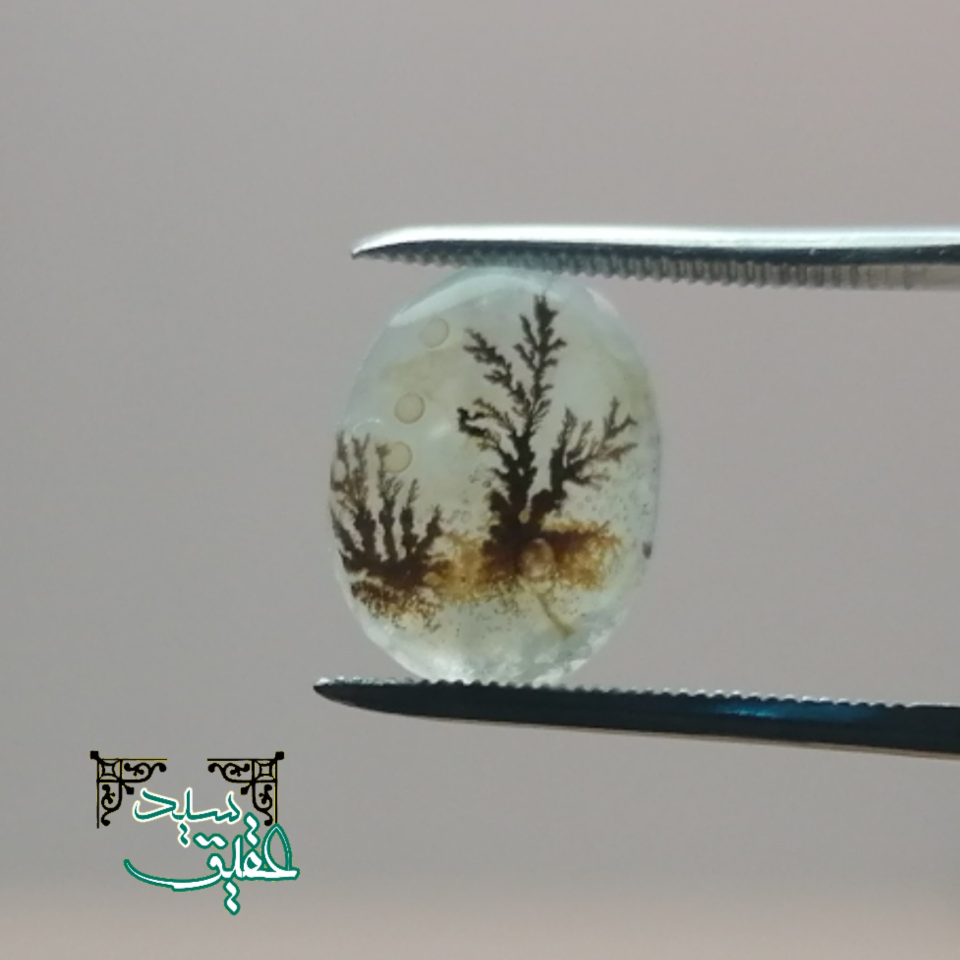 نگین عقیق شجر  شیشه ای و زمینه تخت