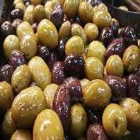 عکس زیتون | گرافیک با طعم تربچه