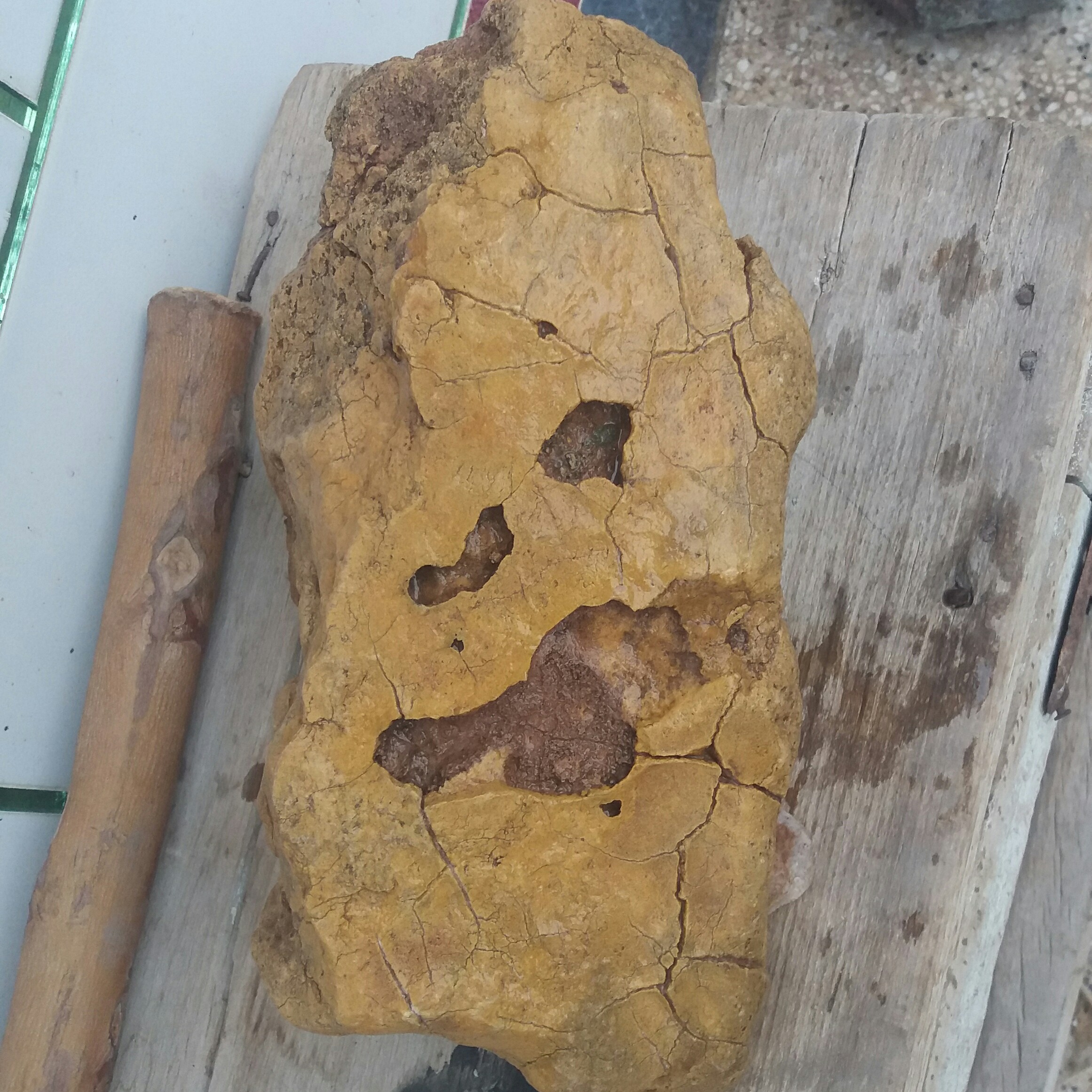 سنگ فسیل کمیاب کلکسیونی بزرگ و سنگین