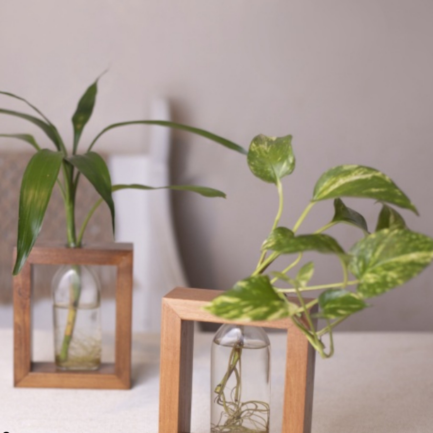 استند گلدان شیشه ایی