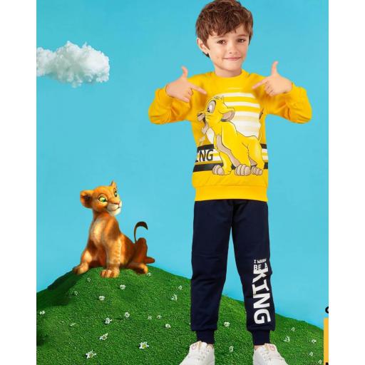 ست دوتیکه پسرانه کد 310