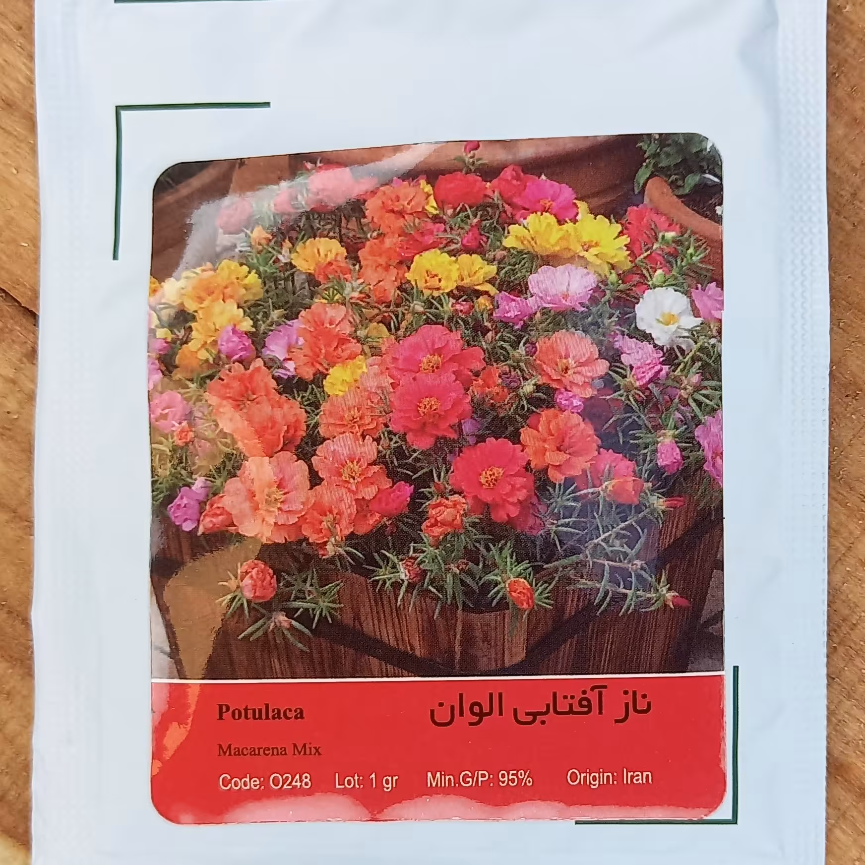 بذر گل ناز آفتابی الوان 
