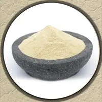 ثعلب اعلا درجه یک یک کیلوگرمی