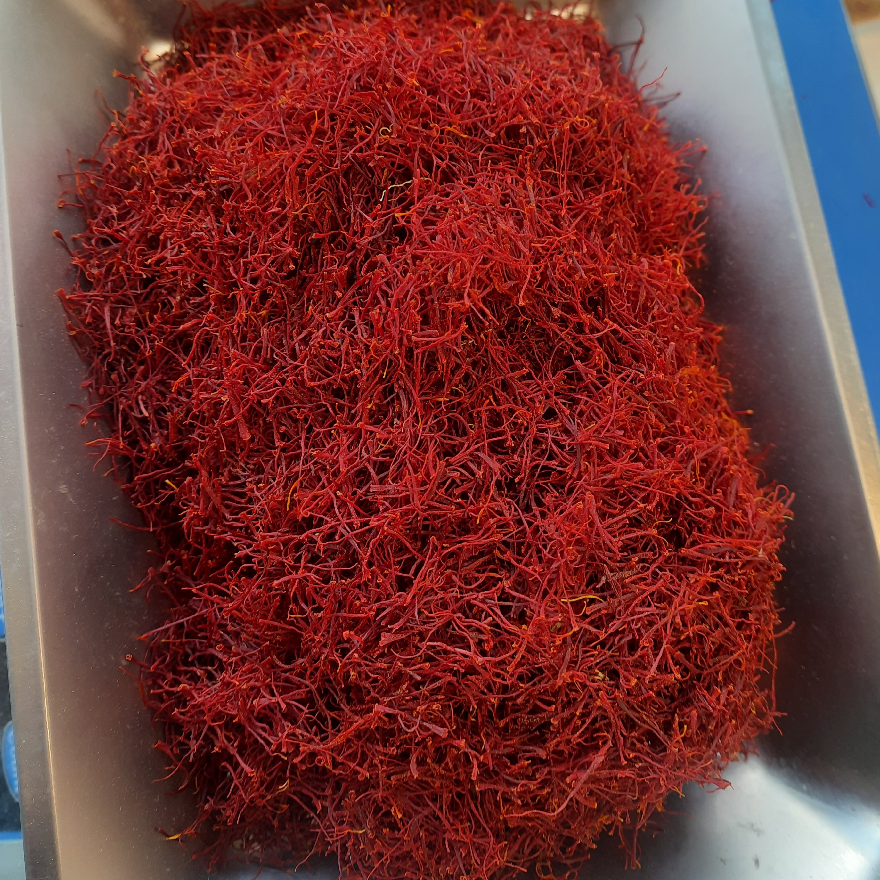 زعفران( نگین 5 مثقالی اصل قائنات )