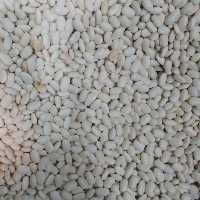 لوبیا سفید (400 گرم)