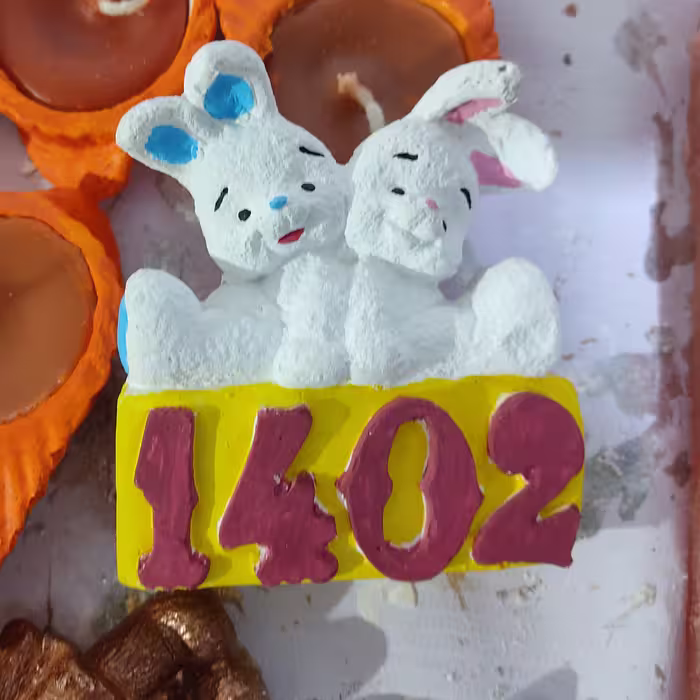 خرگوش 1402