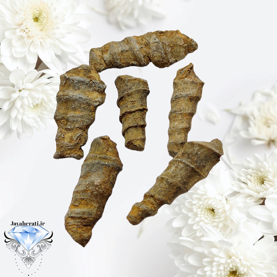 جفت عرج جبلی قدمت دار ومعدنی