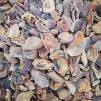 برگه زرد آلو طبیعی خوش عطر و طعم سادات