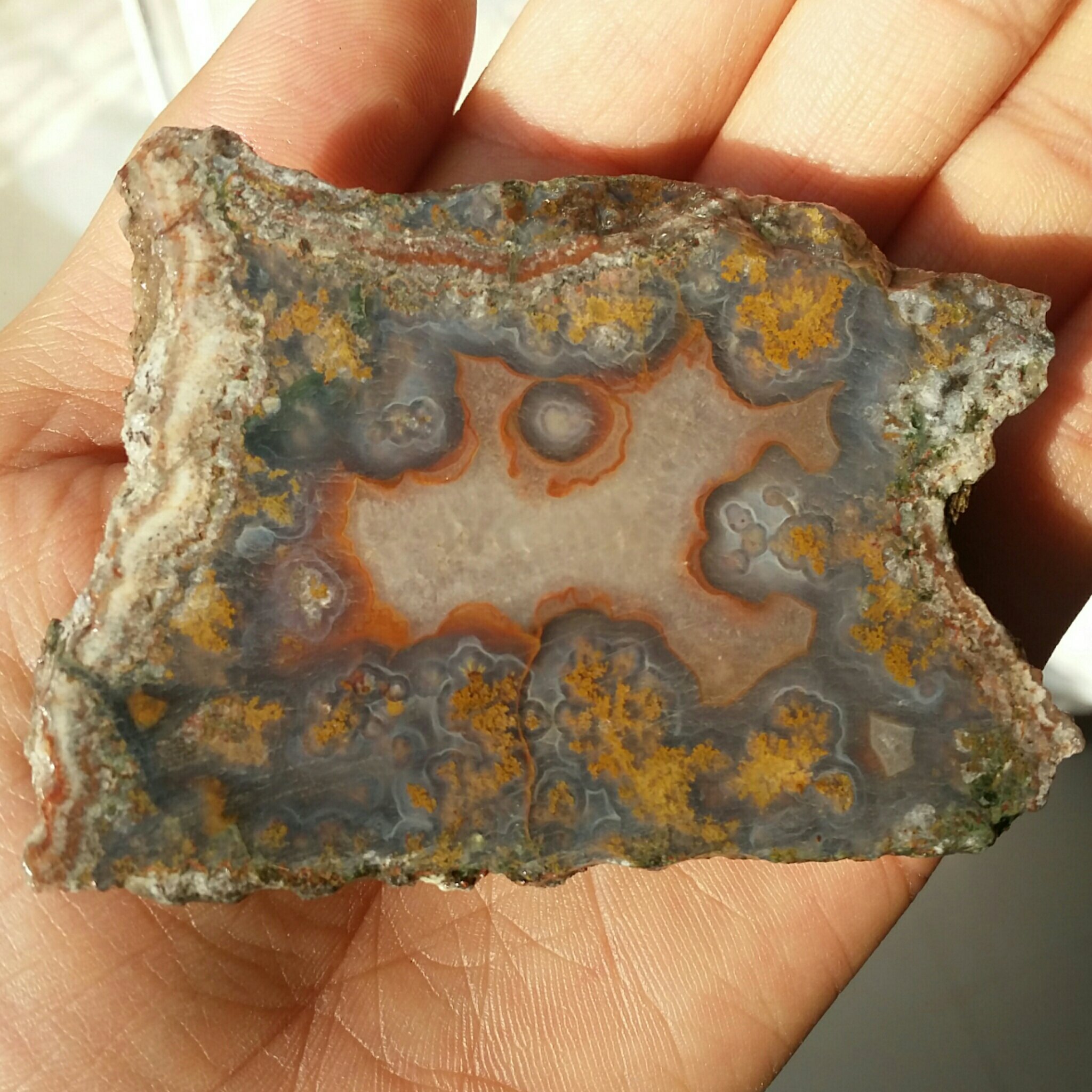 اسلایس سنگ راف عقیق شجر منظره 7رنگ کمیاب دیدنی کاملا طبیعی شاهکار خلقت بی نظییر