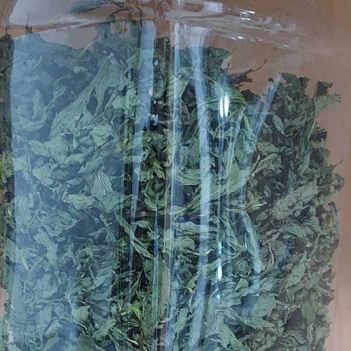 نعنا خشک شسته شده و بدون خاک