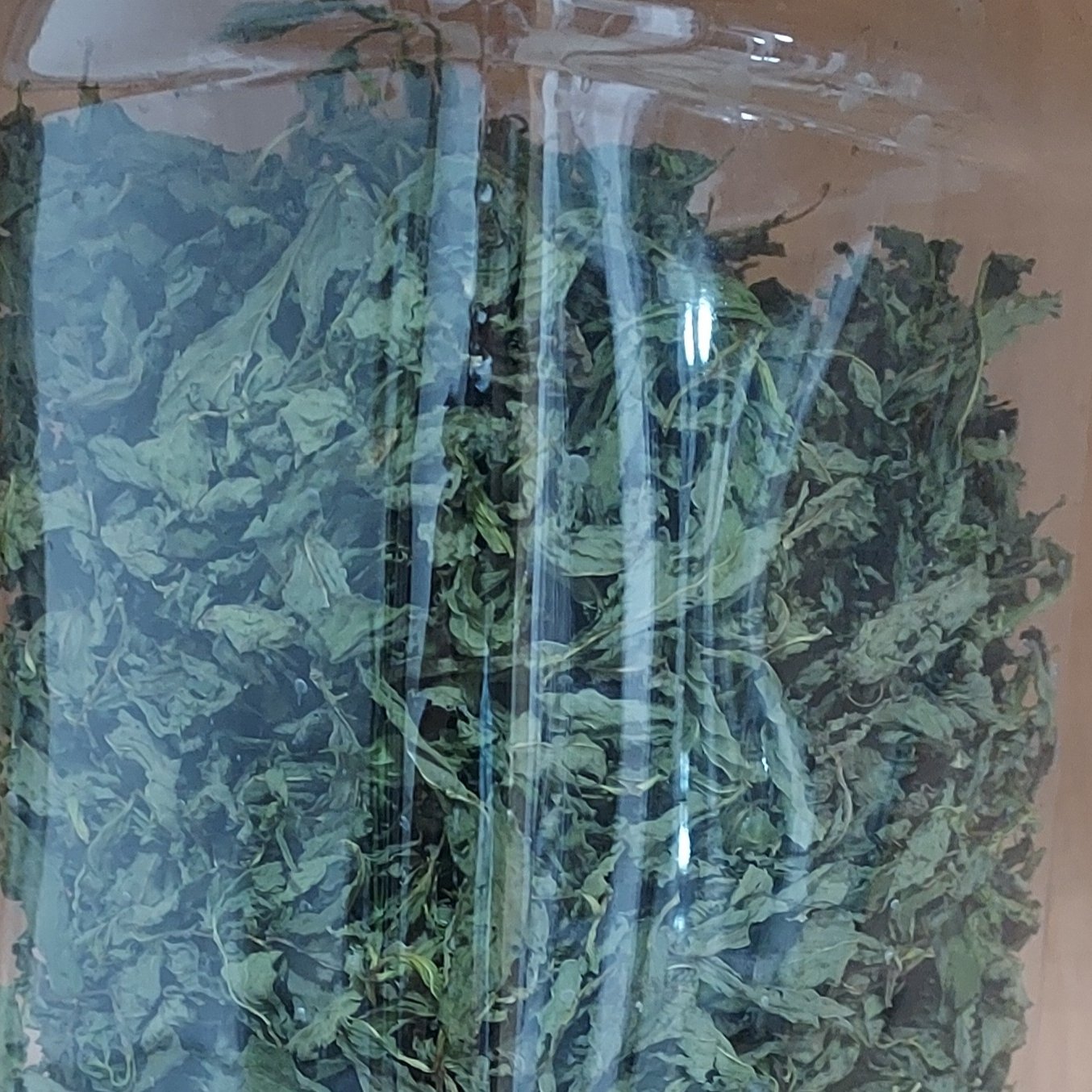 نعنا خشک شسته شده و بدون خاک