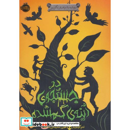 کتاب در جستجوی آینه گمشده
