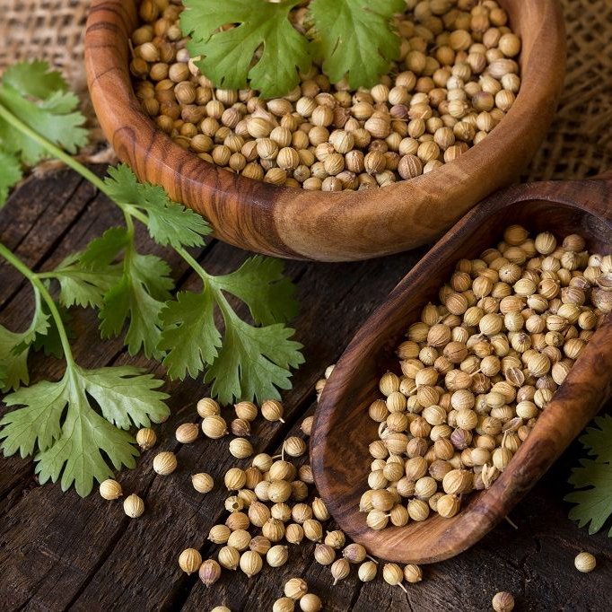 تخم گشنیز 250 گرمی