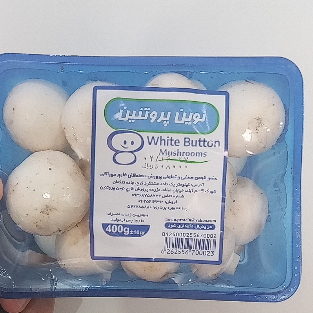 قارچ صدفی بسته بندی 400 گرمی