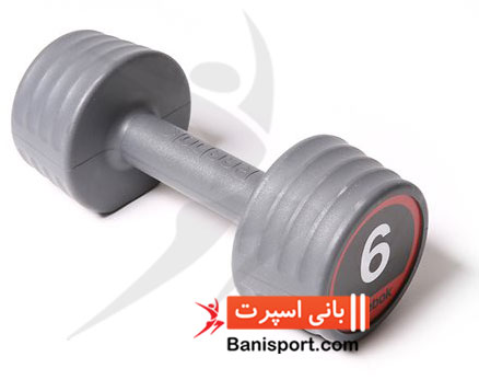 دمبل 6 کیلویی 10056 Reebok