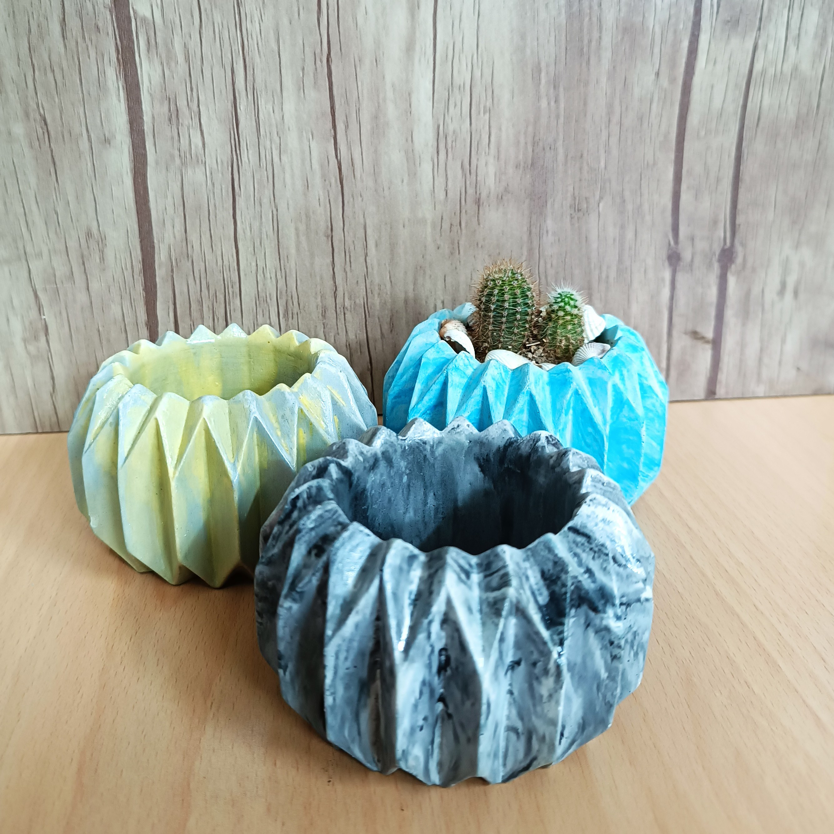 گلدان خورشیدی مناسب برای کاشت کاکتوس تزیینی