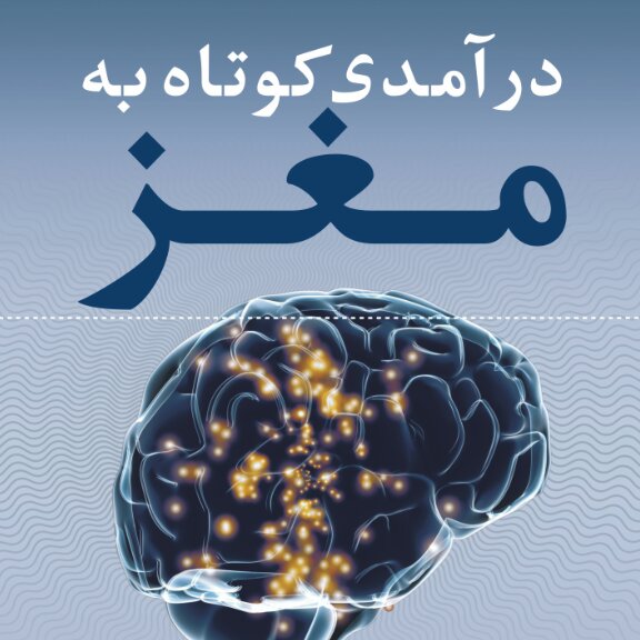 خرید کتاب درآمدی کوتاه به مغز نشر نی