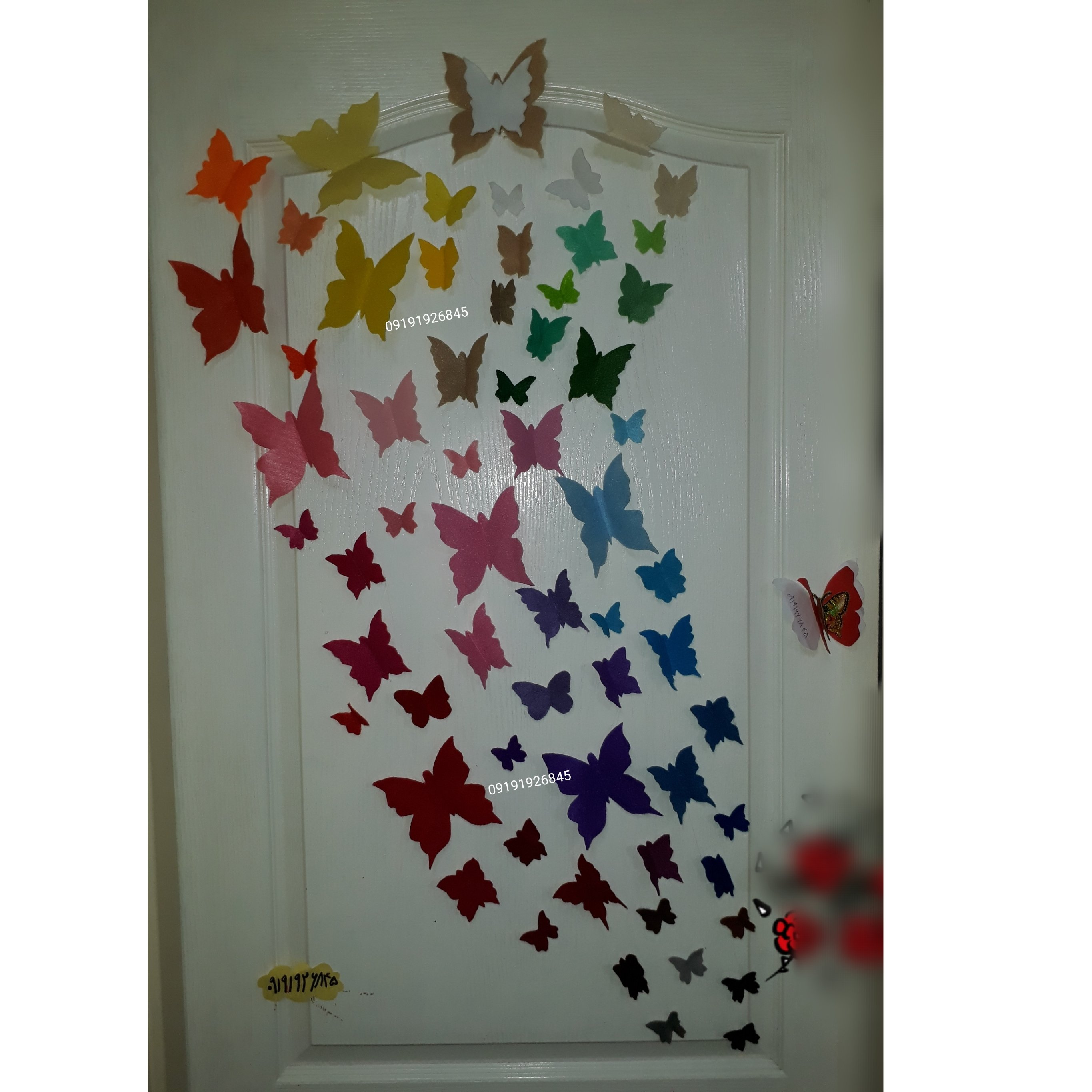 پروانه دکوری