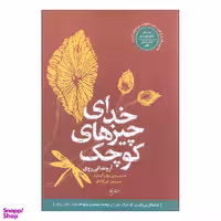 کتاب خدای چیزهای کوچک اثر آرونداتی روی انتشارات نقش جهان