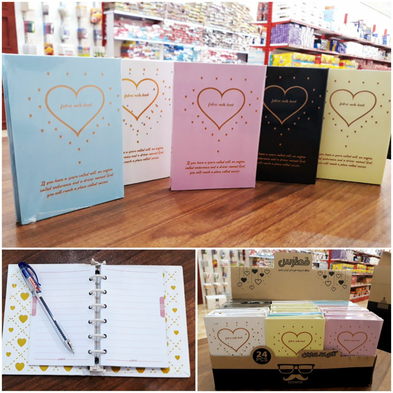 کلاسور 6 حلقه فطرس  
