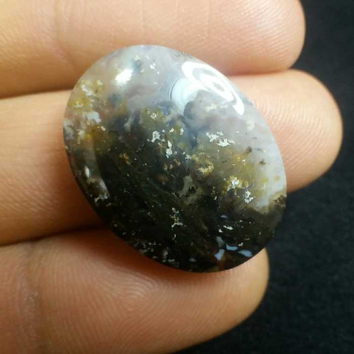 نگین شجر دریایی بسیار خوش رنگ خاص و زیبا پولیش آیینه ای خوش تراش