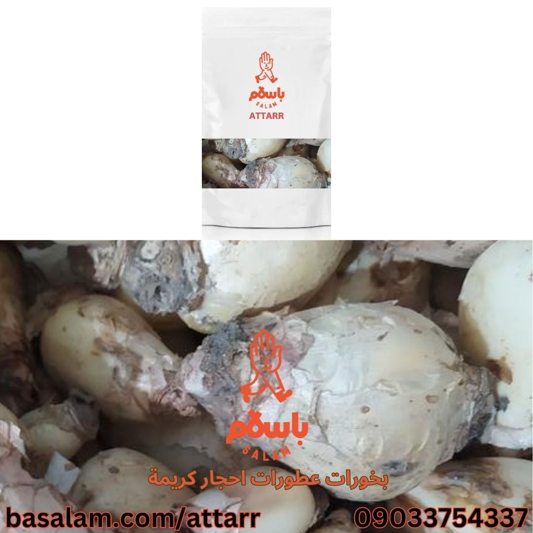 پیاز عنصل (250گرم)