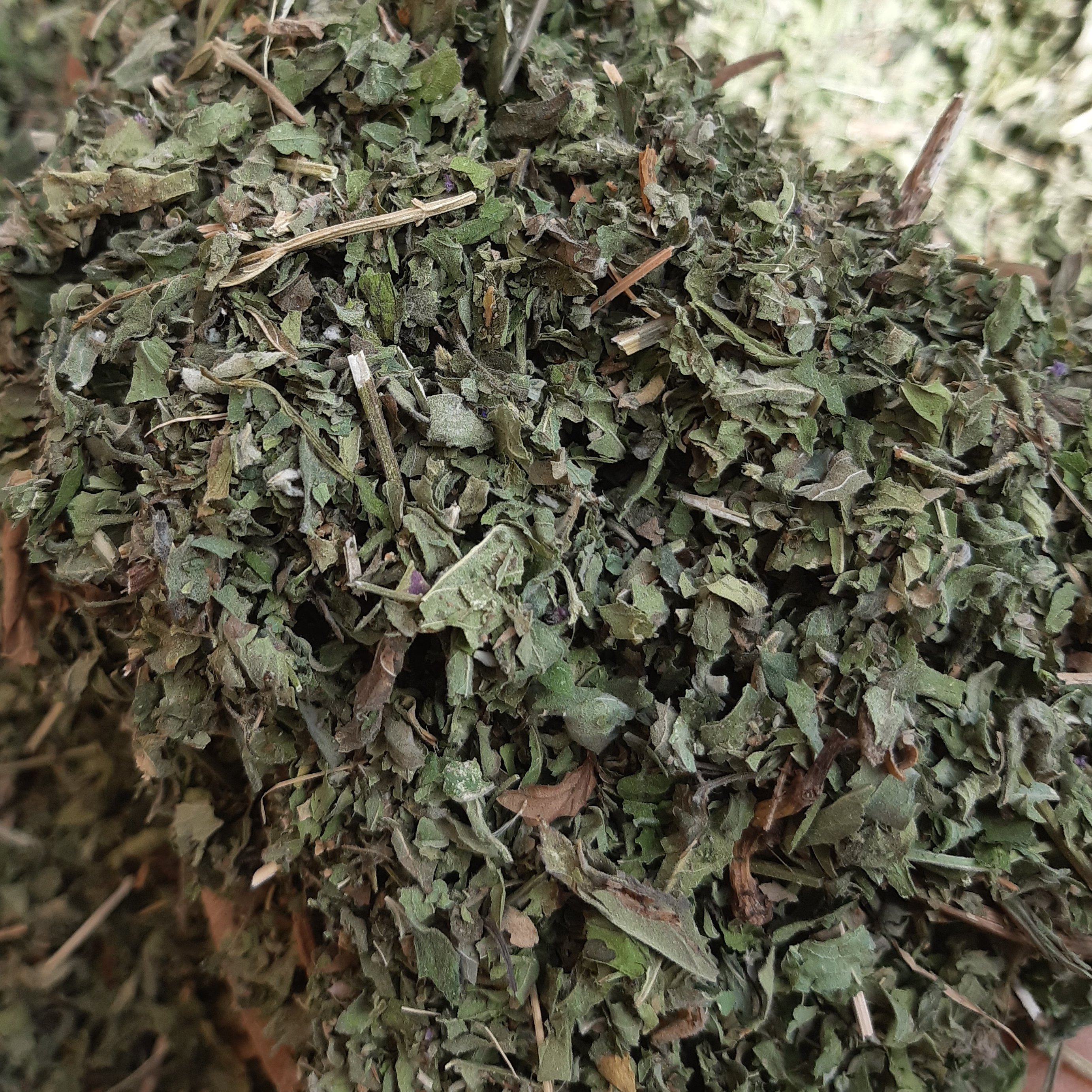 پونه بلغور سبز اعلا 