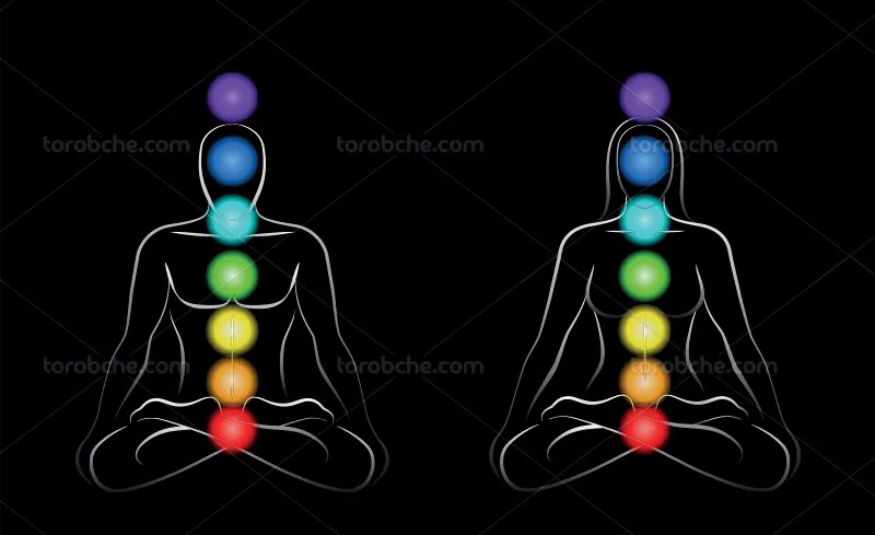 وکتور چاکرا های زن و مرد | گرافیک با طعم تربچه