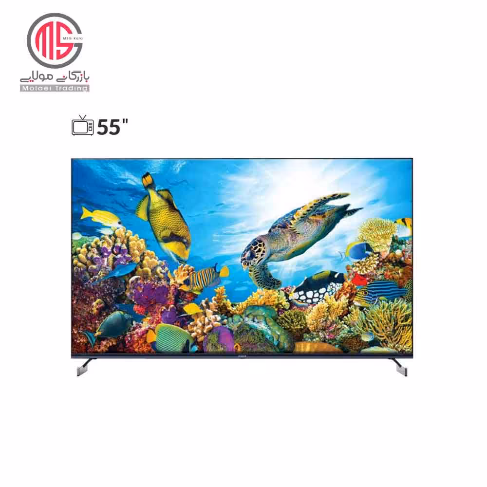 تلویزیون 55 اینچ آیوا مدل M8