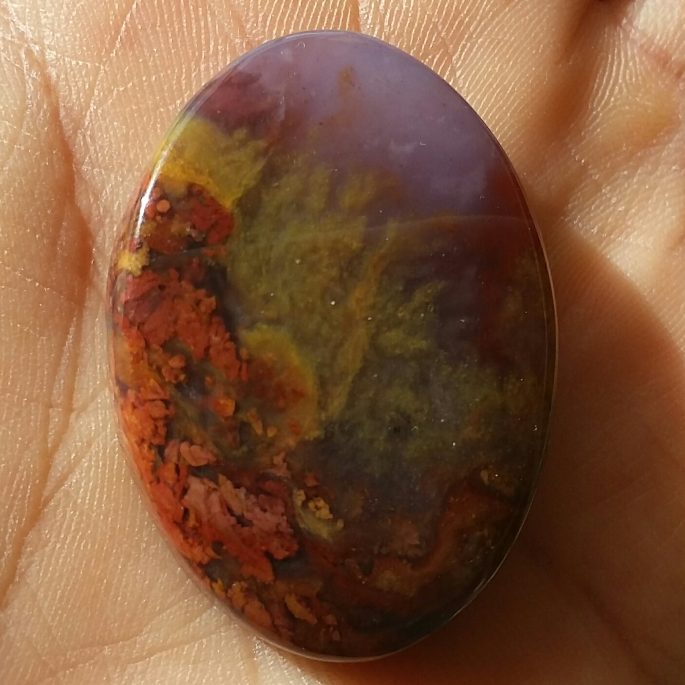 نگین شجر پاییزی 7 رنگ بسیار دیدنی و شکیل شاهکار خلقت سایز بسیار درشت مدالی 