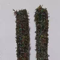 قیم در سایزهای مختلف