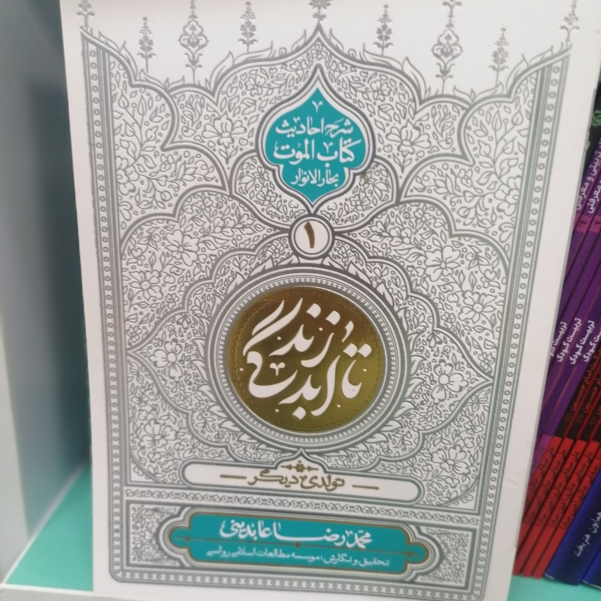 کتاب تا ابد زندگی ؛ دفتر اول: تولدی دیگر

نویسنده محمدرضا عابدینی نشر معارف

