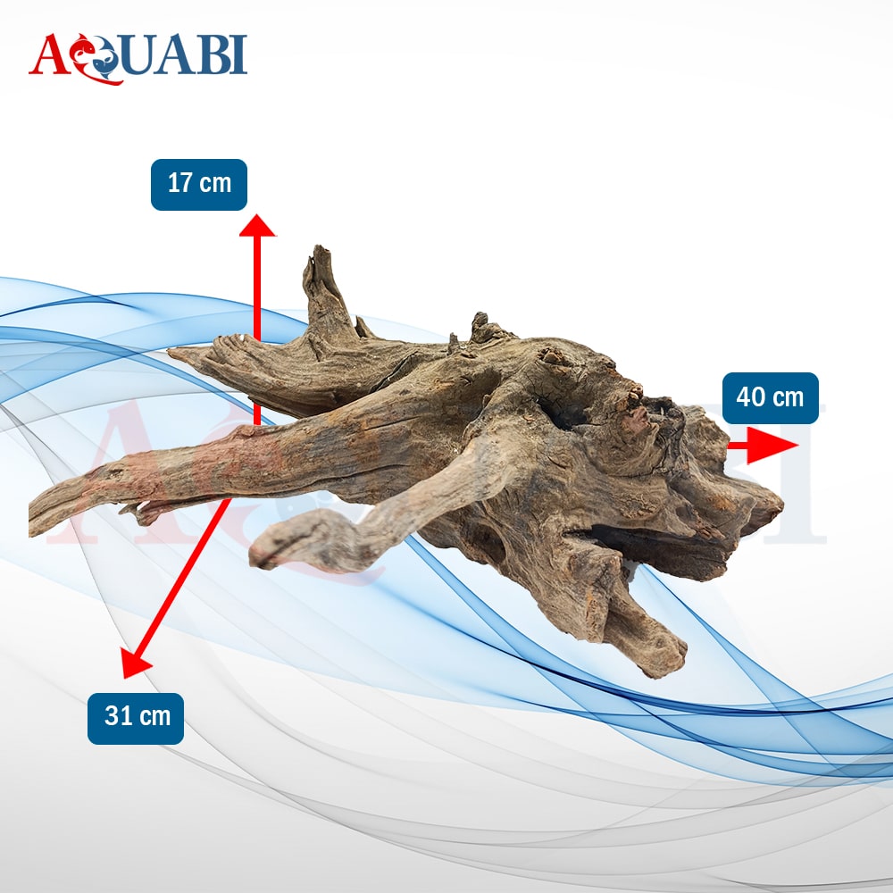 تنه چوب آبنوس آکواریوم AB-135