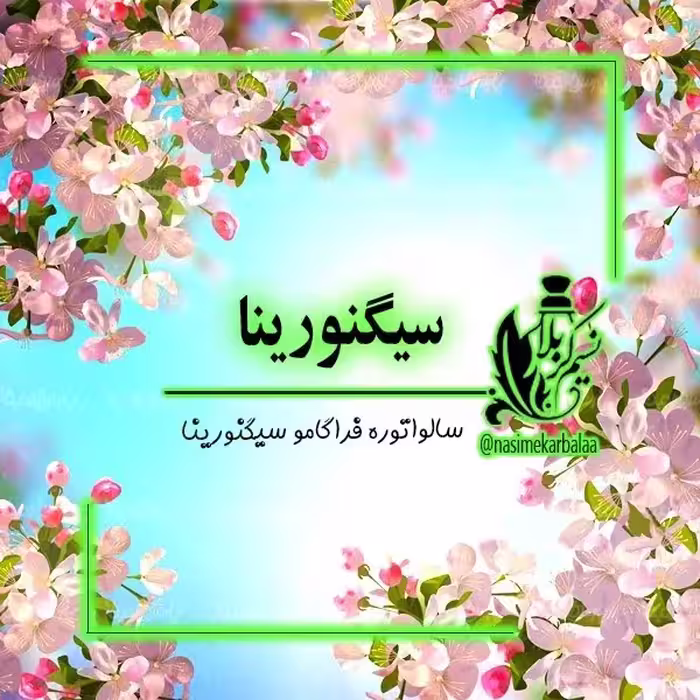 عطر سیگنورینا (سالواتوره فراگامو سیگنورینا) عطر درجه یک مخصوص دختر خانوم های شیک و خاص(یک گرم)
