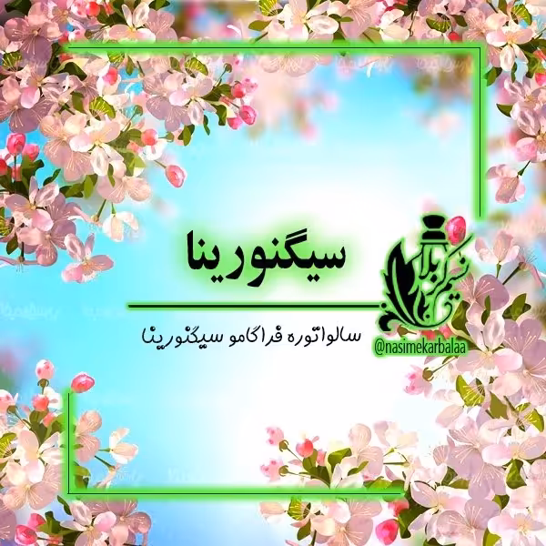 عطر سیگنورینا (سالواتوره فراگامو سیگنورینا) عطر درجه یک مخصوص دختر خانوم های شیک و خاص(یک گرم)