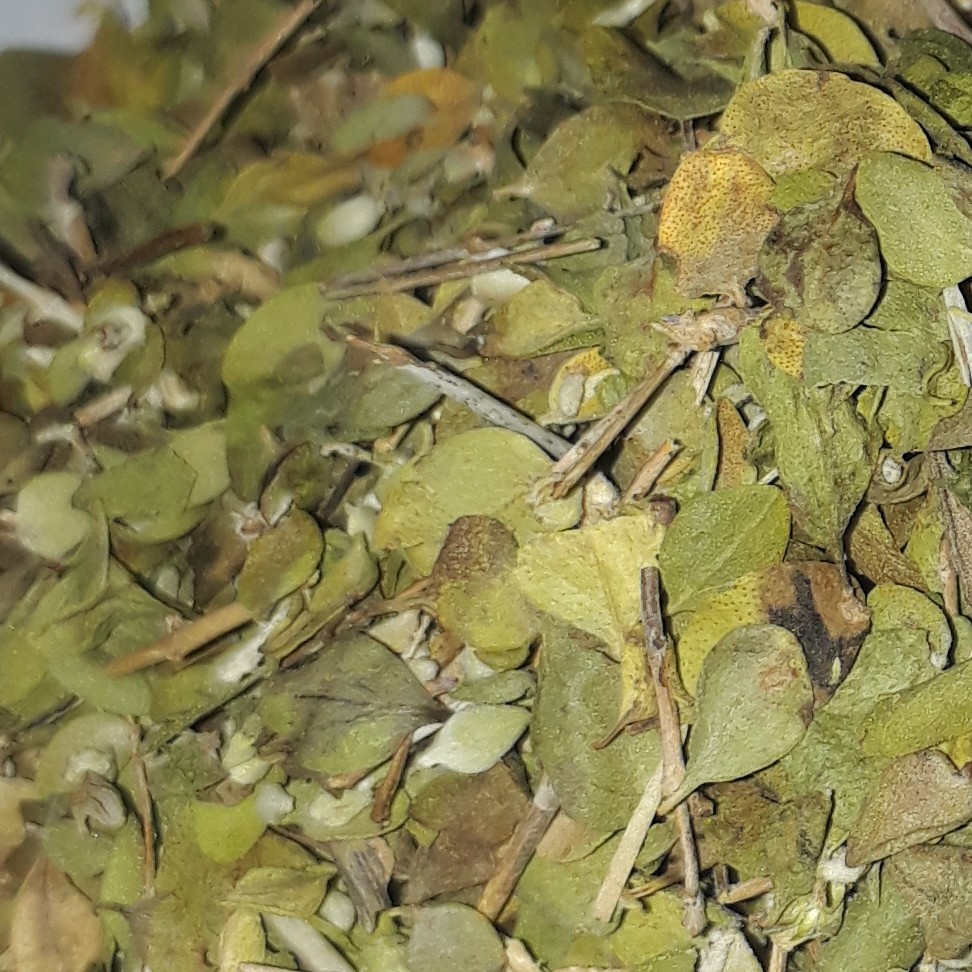 آویشن شیرازی برگ