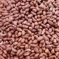 بادام زمینی خام خارجی بدون پوست(1کیلو گرمی)