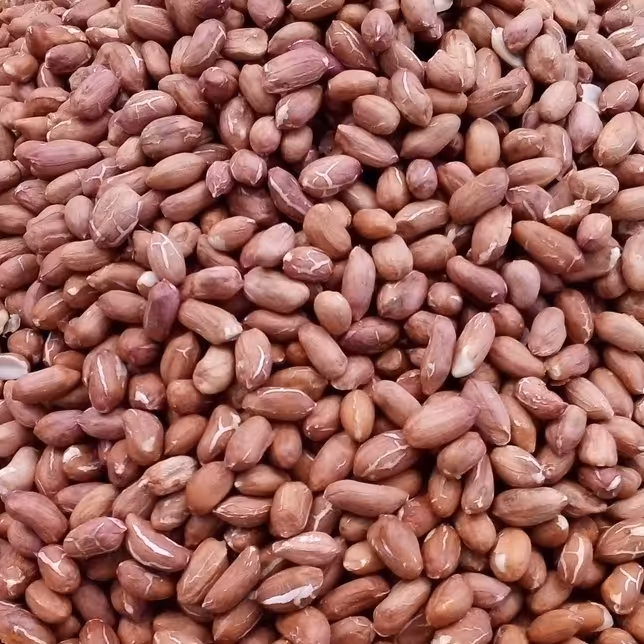 بادام زمینی خام خارجی بدون پوست(1کیلو گرمی)