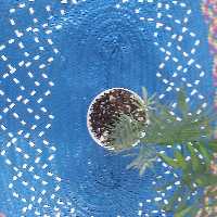 سفره تسمه ای