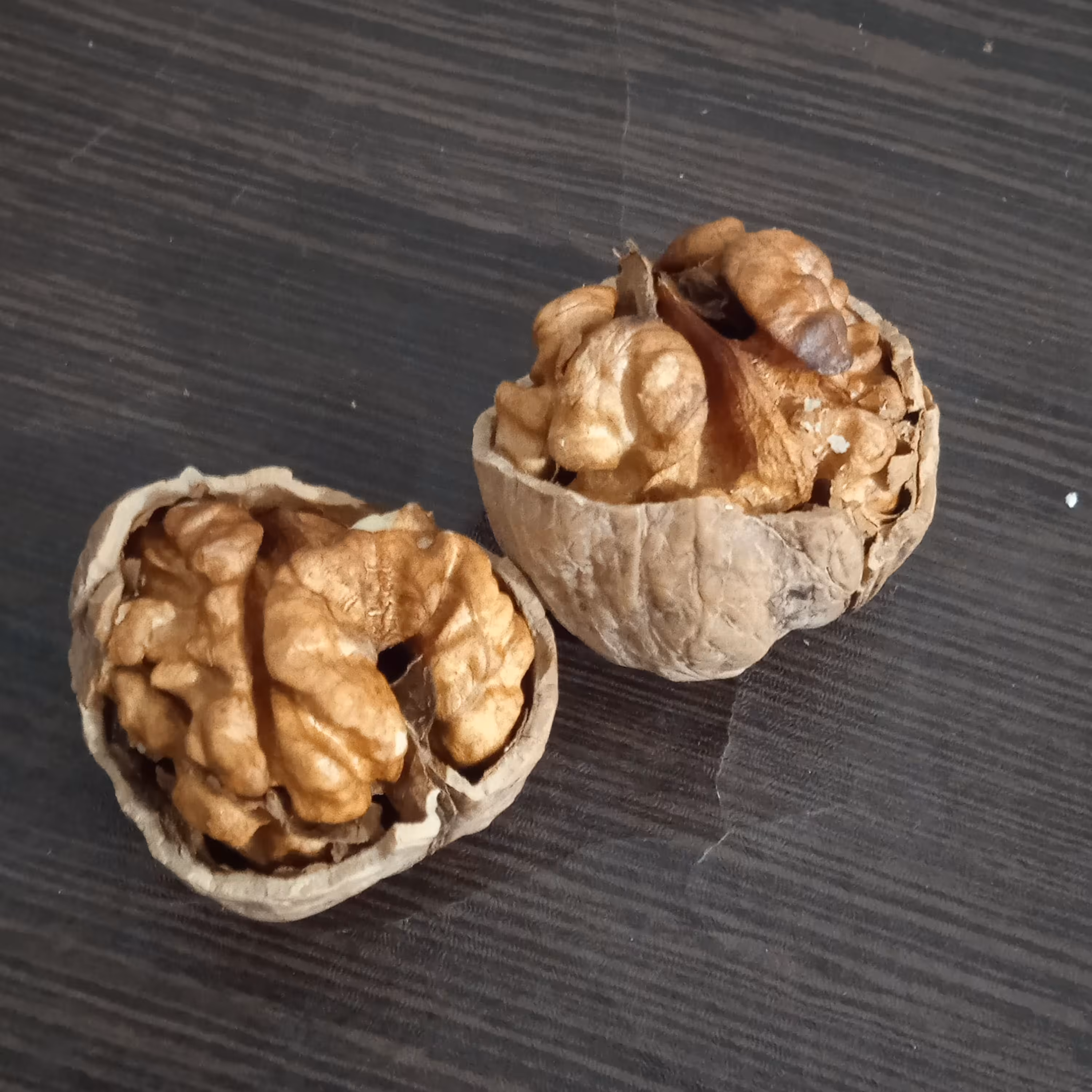 گردو خشک امساله چرب وکاغذی فسنجانی (2کیلو)