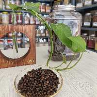 دانه فلفل سیاه اعلا خانه ادویه در بسته بندی 100 گرمی  تمیز  و بهداشتی