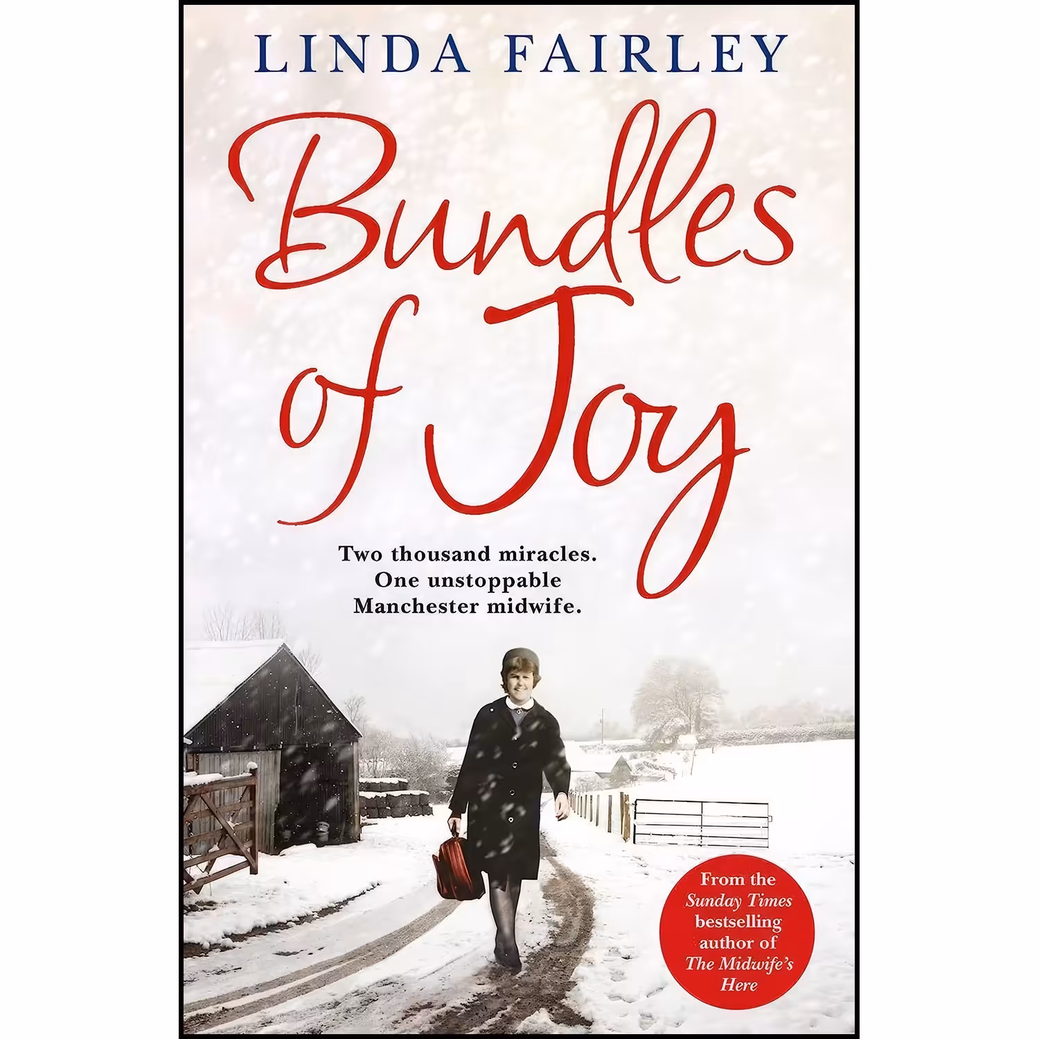 کتاب زبان اصلی Bundles of Joy اثر Rachel Murphy and Linda Fairley