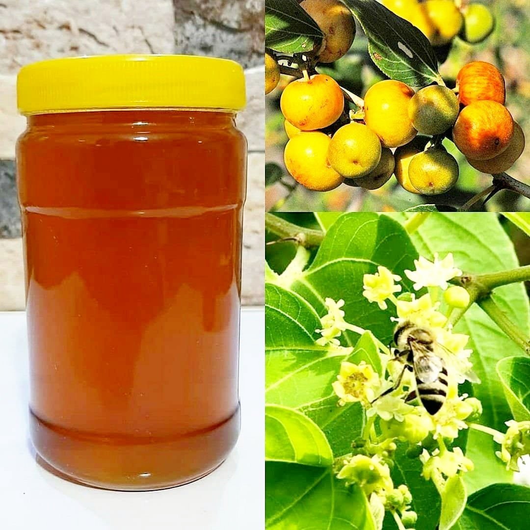 عسل کنار (900گرمی)
