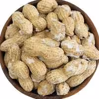 بادام زمینی