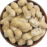 بادام زمینی