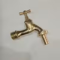 شیر حیاطی زرد روهام