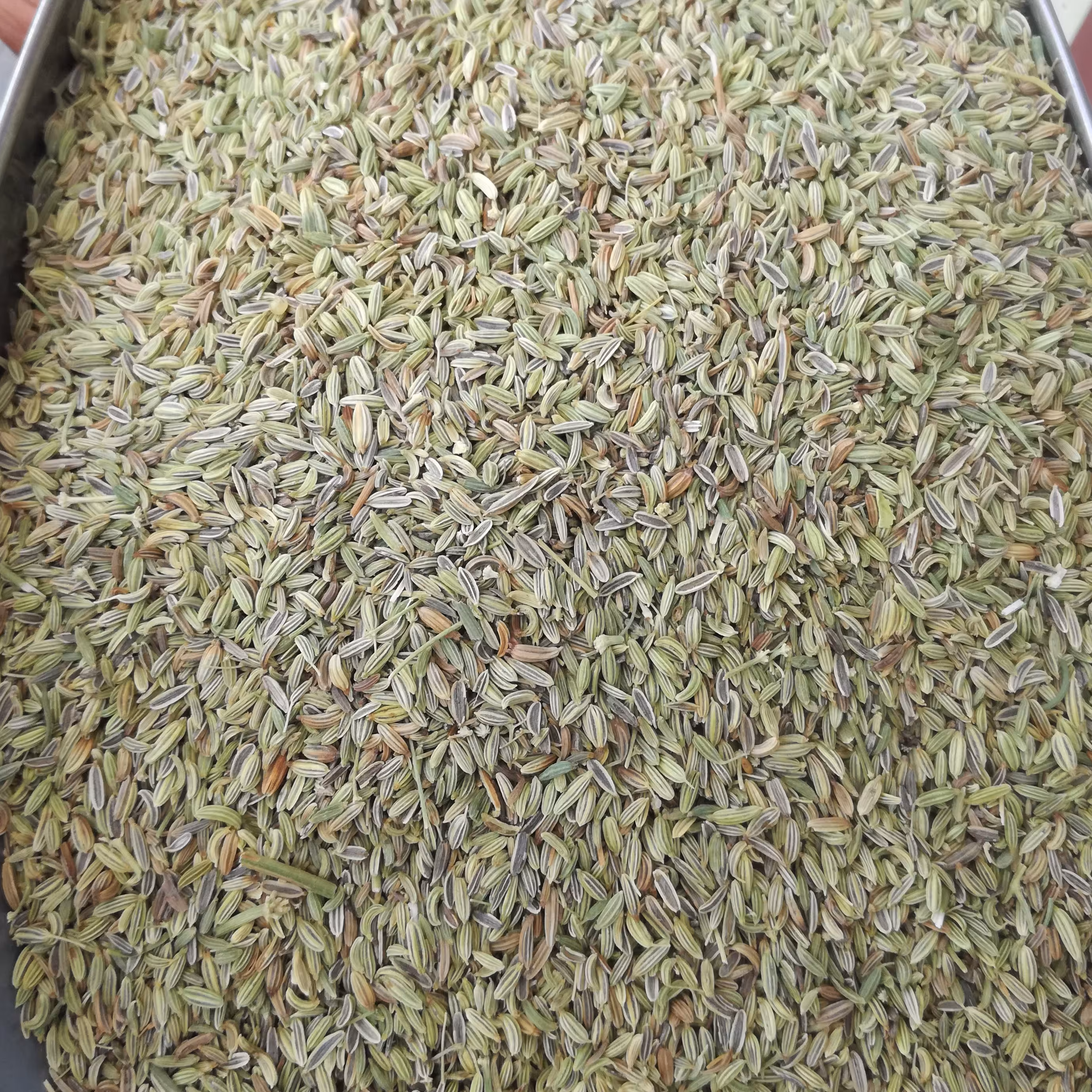 بهترین قیمت رازیانه ( بادیان ) یک کیلو با بهترین کیفیت