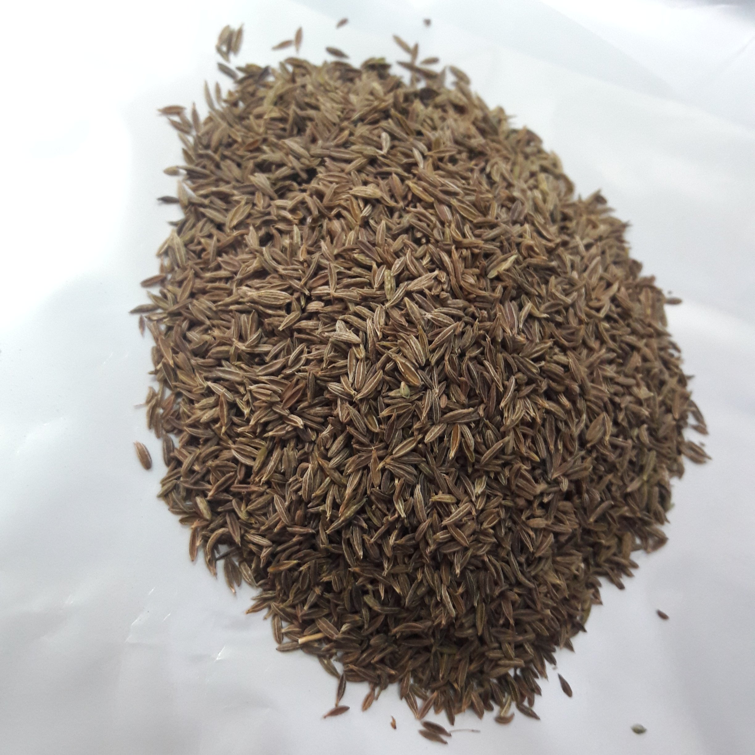 زیره سبز اعلاء(500گرمی)